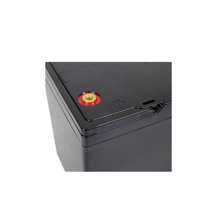 Акумулятор LP LiFePO4 24V (25,6V) - 52 Ah (1331Wh) (BMS 60A/30A) пластик для ДБЖ