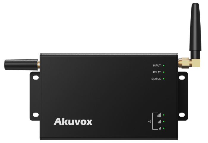WR01-L - Контролер доступу з LTE
