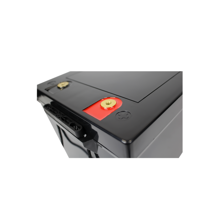 Акумулятор LP LiFePO4 24V (25,6V) - 230 Ah (5888Wh) (BMS 80A/40A) пластик