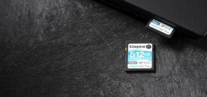 SDXC (UHS-1 U3) Kingston Canvas Go Plus 512Gb class 10 V30 (R170MB/s, W90MB/s) (SDG3/512GB)