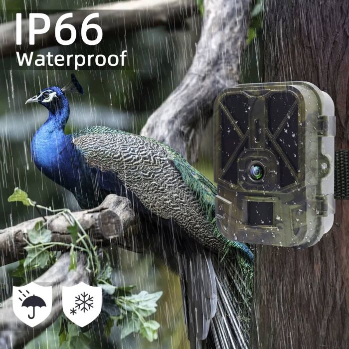 Фотопастка Suntek HC-940A Li (50Mp, 8000 mAh)