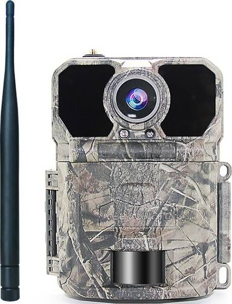 4G фотопастка KeepGuard KW896 (36Mp, 2K)