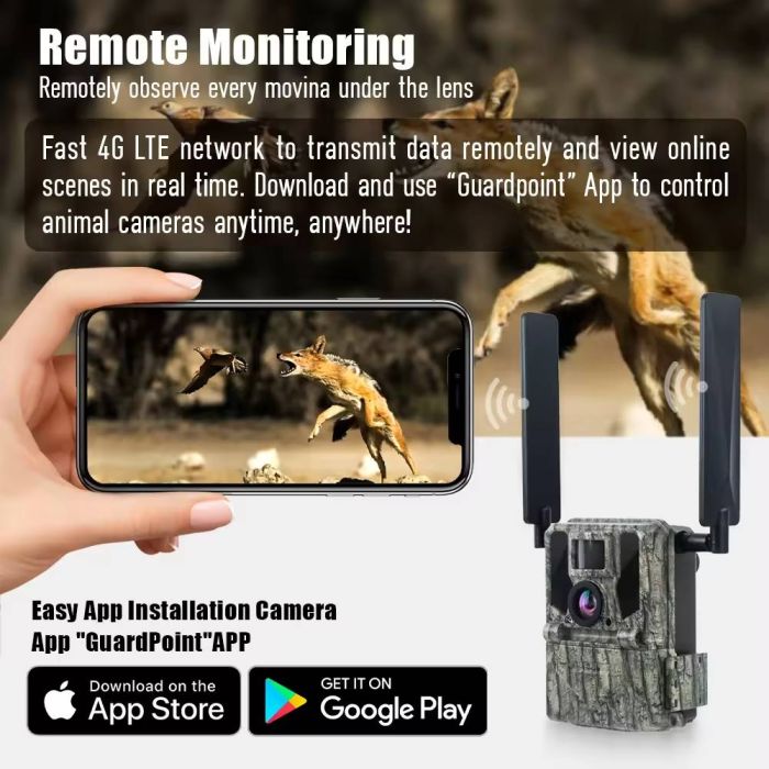 4G фотопастка KeepGuard KW897 (36Mp, 2K)