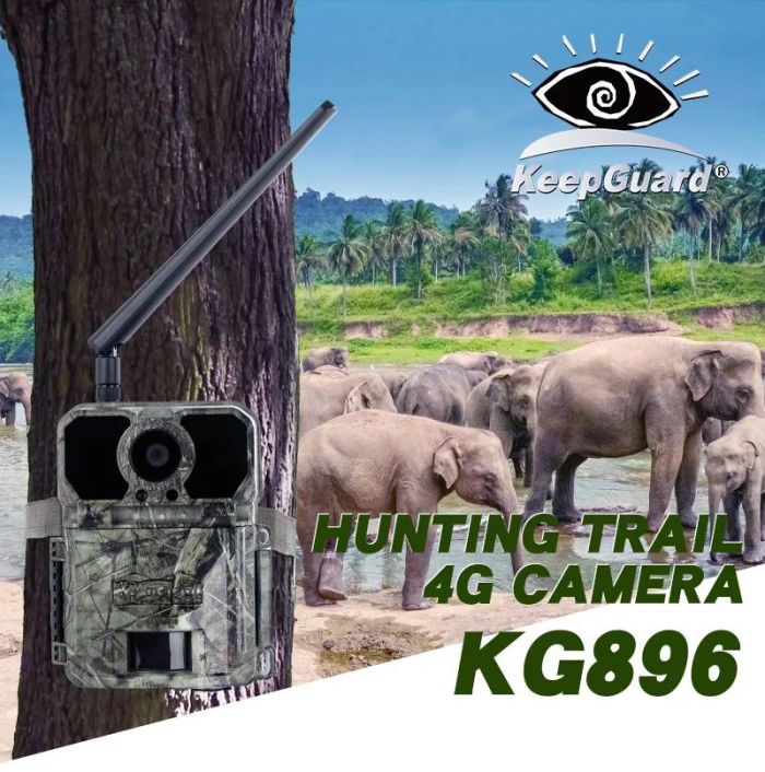4G фотопастка KeepGuard KW896 (36Mp, 2K)