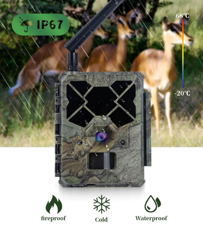 4G фотопастка KeepGuard KW886 (24Mp)