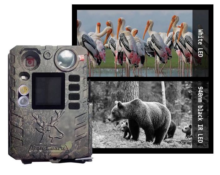 Міні фотопастка BolyGuard BG410-D (37Mp, 18650)