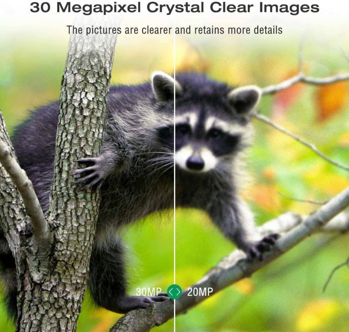 APP / 4G фотопастка HC900Pro Live (30Mp, Хмара, Онлайн відео) (938)