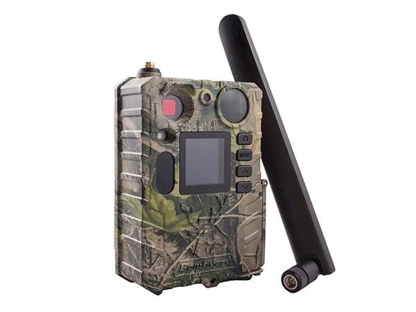 4G фотопастка BolyGuard BG710-M (1241)