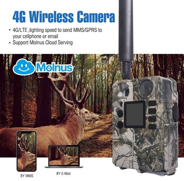 4G фотопастка BolyGuard BG710-M (1241)
